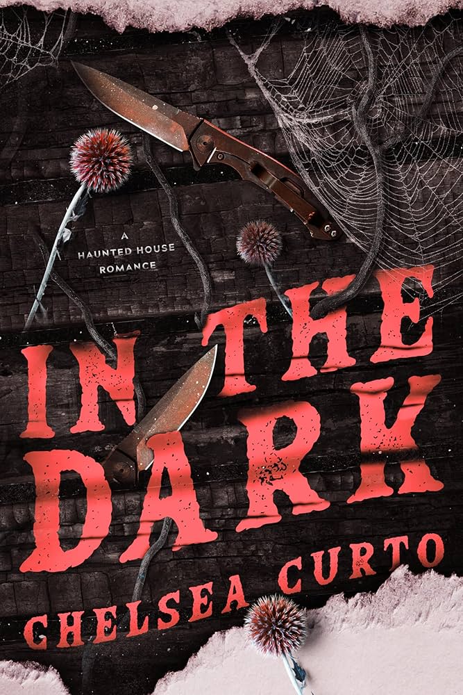 In The Dark - Chelsea Curto