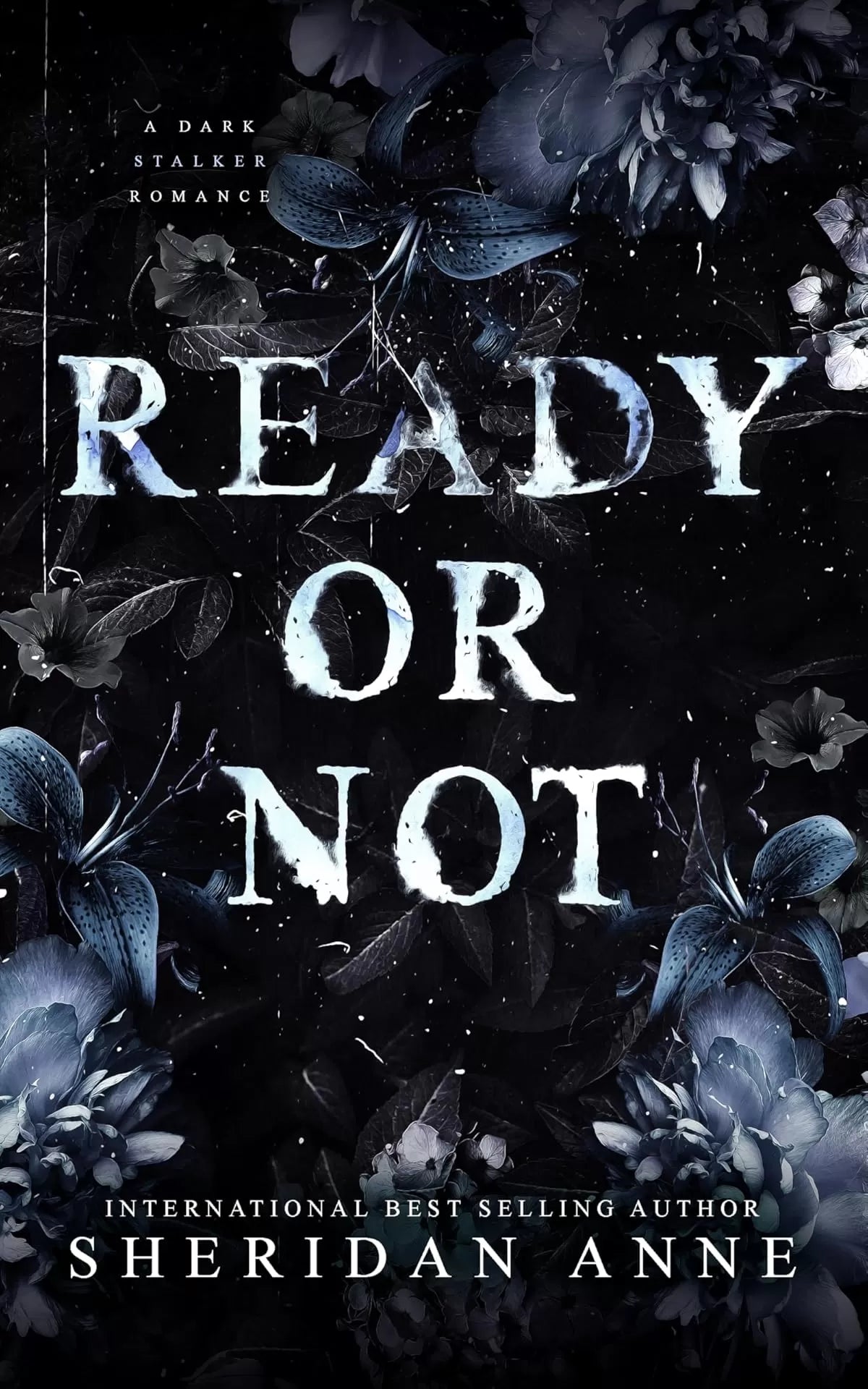 Ready Or Not - Sheridan Anne
