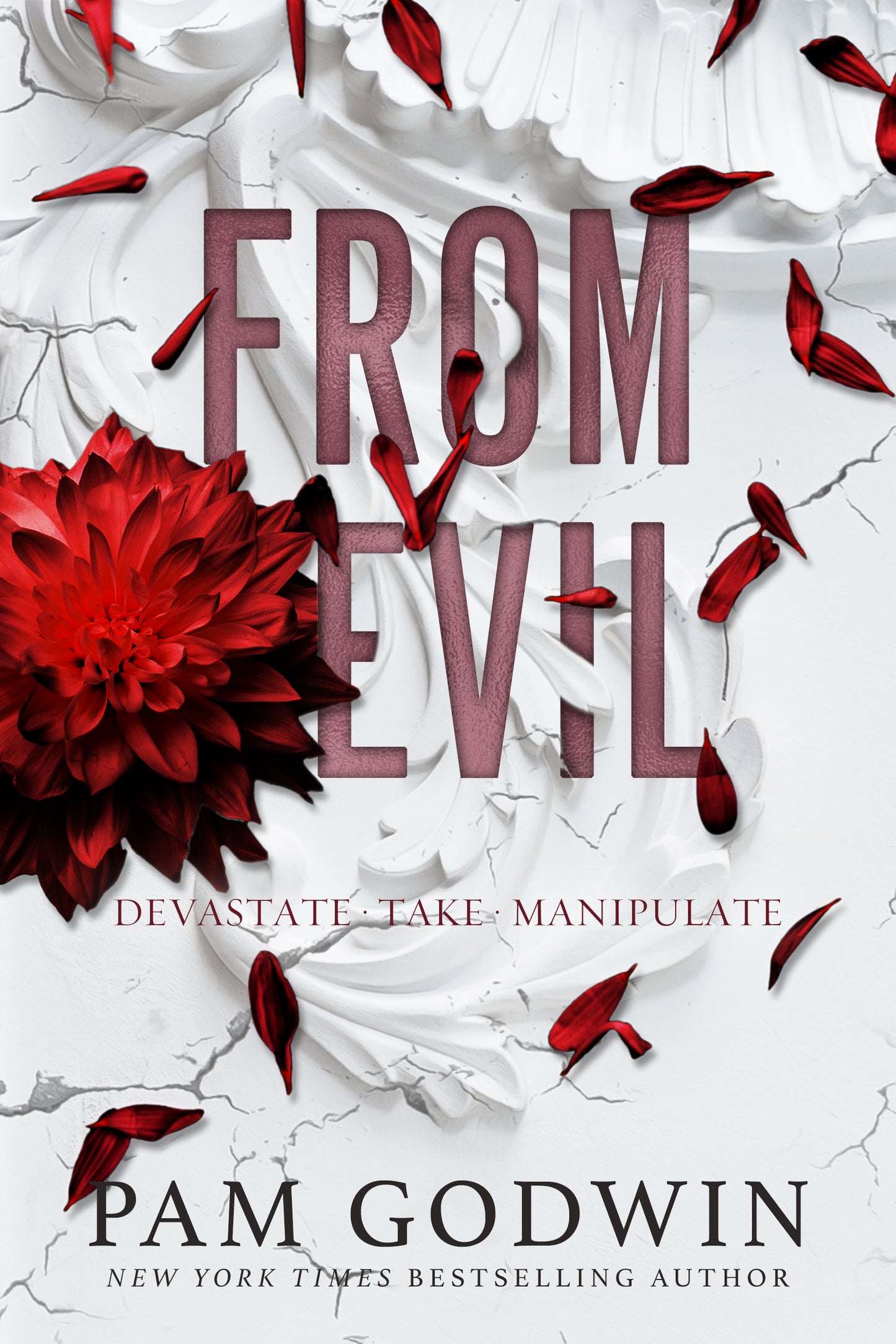From Evil (Books 4-6) - Pam Godwin