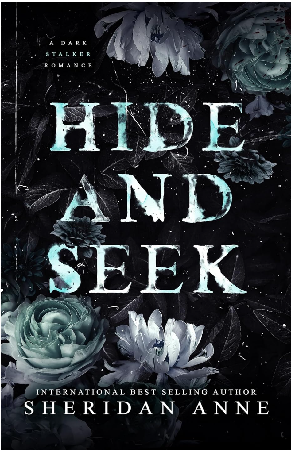 Hide And Seek - Sheridanne Anne