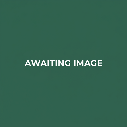 Pre-Order: Sanctuary Of Lies - J Rose
